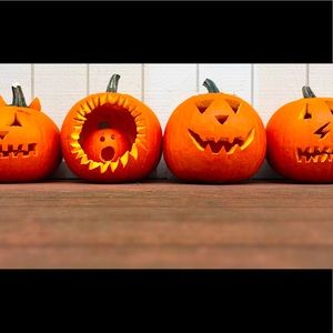 🐿🍁Stay tuned for more fall items🍁🐿